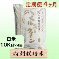 【毎月定期便】4ヶ月【令和5年産】特別栽培米10kg【白米】(ミルキークイーン)全4回