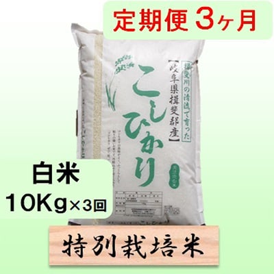 【毎月定期便】3ヶ月【令和6年産】特別栽培米10kg【白米】(コシヒカリ)全3回