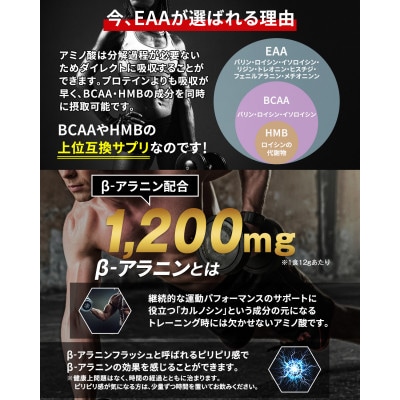 ハルクファクターEAA グレープ風味 520g | お礼品詳細 | ふるさと納税