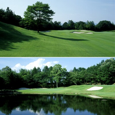 【岐阜稲口ゴルフ倶楽部】プレー券 (平日フォーサム)