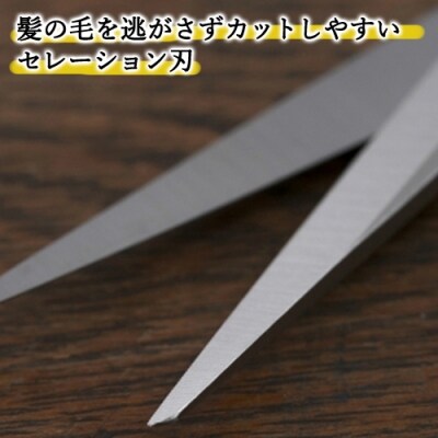 関孫六 カットハサミ H6-16 ~髪切り(散髪)はさみ
