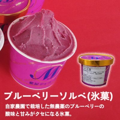 とれったひろばバラエティーセット　紫屋のブルーベリージェラートセット