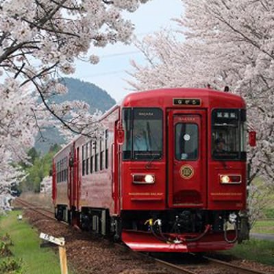 長良川鉄道　全線1日フリー乗車証