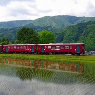 長良川鉄道全線1日フリー乗車証 T10-01