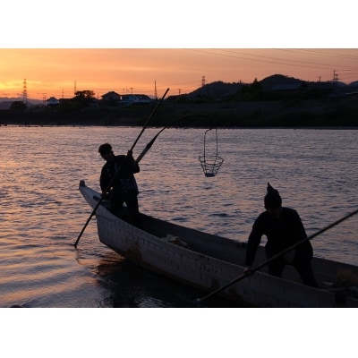 鵜飼観覧乗船券(ペア乗船券・お弁当付)