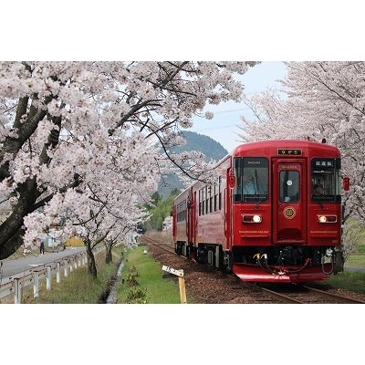 長良川鉄道:観光列車「ながら」 スイーツプラン 予約乗車券 (シングル) 