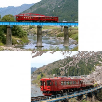 長良川鉄道　観光列車「ながら」スイーツプラン予約乗車券 (ペア)