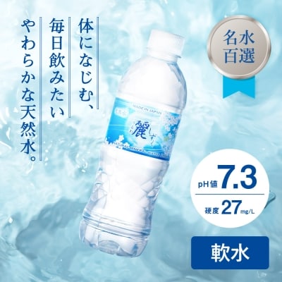 ナチュラルミネラルウォーター　麗しずく　(500ml×24本×2ケース) S8-12 飲料水