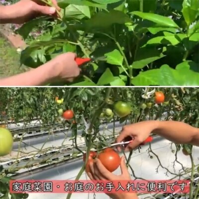 万能はさみ剣先型 　H8-91