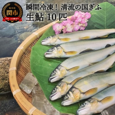 G18-01 清流の国ぎふ 鮮度抜群の生鮎10匹【6月～10月にかけて順次配送】