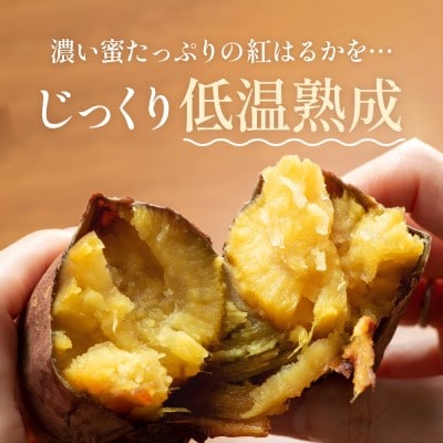 【美濃蜜芋 紅はるか～干し芋～】たっぷり400g(100g×4袋)　出逢いに感謝セット