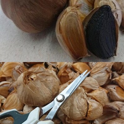 【黒にんにく  黒福】 粒250g&むき身300g&玉3個～出逢いに感謝バラエティセットS15-29