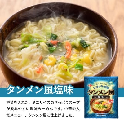 お湯を注ぐだけ!ミニノンカップ麺らーめんセット20食(醤油・塩×各10食)