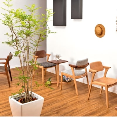 B.H.ダイニングチェア(ショートアーム)【オーク+ウォルナット材】JBH-DCX208A