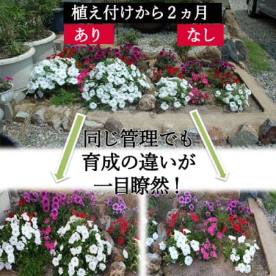 土に息を吹込む　息吹グリーン　(土壌改良材)　1kg入 D10-15