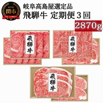 【59E0940】【定期便】頒布会3回 飛騨牛(計2870g)【岐阜県高島屋選定品】