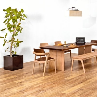 B.H.ダイニングチェア(ショートアーム)【オーク材+ウォルナット材】JBH-DCX201A