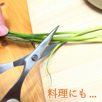 H10-203 SILKY 万能鋏(やわらかハンドル・キッチン鋏・手工芸 用途いろいろ)
