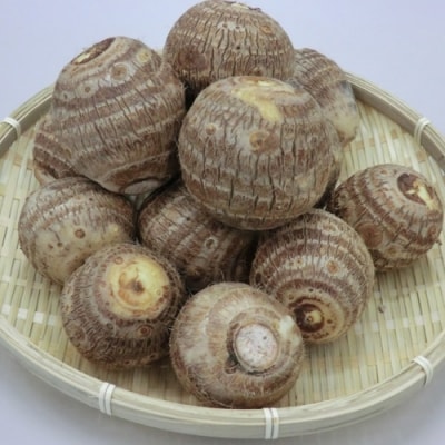 S15-20 とれったひろば 円空さといも【12月～2月に順次発送】