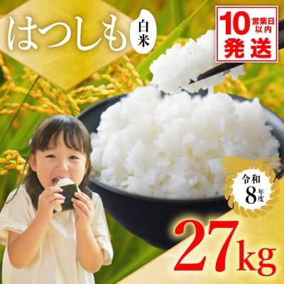 令和8年産 ハツシモ【白米】27kg 数量限定 L7