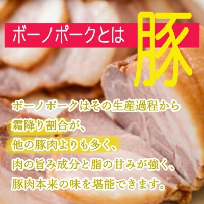 G24-01 自家製岐阜ボーノポーク焼豚 500g×2本