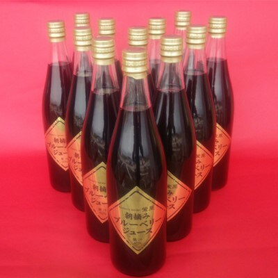 栽培期間中農薬不使用の自然農園 紫屋【ブルーベリージュース】 12本 (720ml)