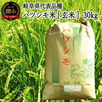 ふるさと納税 関市 すずさんの米:1等米のにこまる 30kg玄米 〈