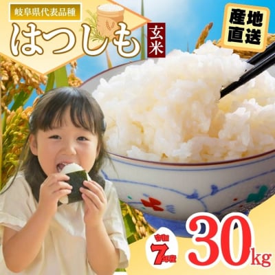 令和7年産 ハツシモ米【玄米】30kg 【11月以降順次発送】L6 G30-08