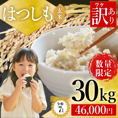 【訳あり】期間限定で寄附額改定!令和7年産 ハツシモ【玄米】30kg 数量限定 L6