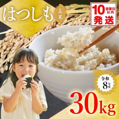 令和8年産 ハツシモ【玄米】30kg 数量限定 L6