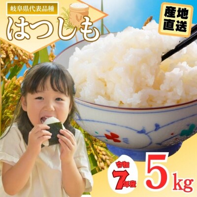 令和7年産 ハツシモ米【白米】5kg【12月以降順次発送】 M8 G10-17