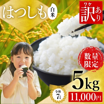 【訳あり】期間限定で寄附額改定!令和7年産 ハツシモ【白米】5kg 数量限定 M8