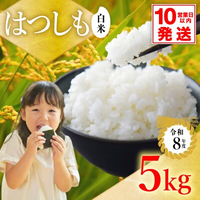 令和8年産 ハツシモ【白米】5kg 数量限定 M8