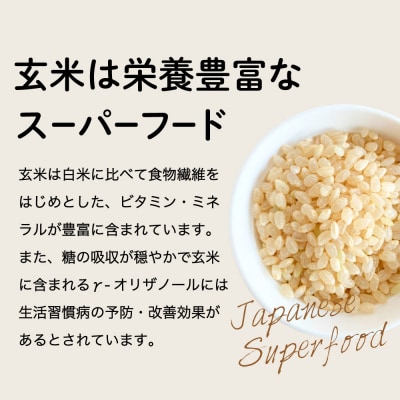 グルテンフリー ブラウンライスパスタ フジッリ15袋 L5 玄米