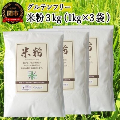 米粉3kg ～岐阜県産ハツシモ米100%～ M7 G10-16