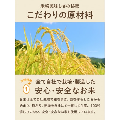 米粉3kg ～岐阜県産ハツシモ米100%～ M7