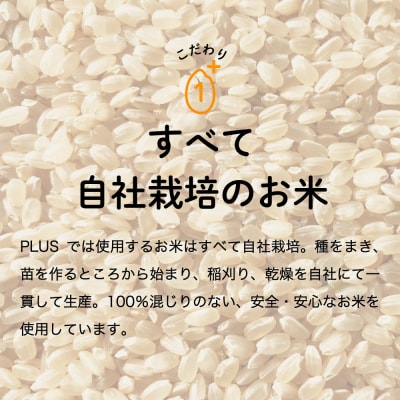 グルテンフリー ブラウンライスパスタ7袋 M4 玄米
