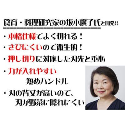 子ども用包丁 【左利き】(DI-102) ～台所育児 誕生日プレゼント 進級祝い 入学
