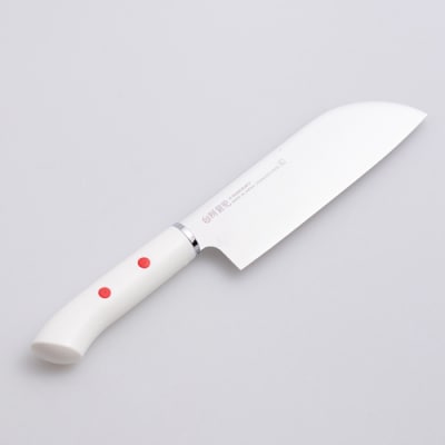 子ども用包丁 【左利き】(DI-102) ～台所育児 誕生日プレゼント 進級祝い 入学