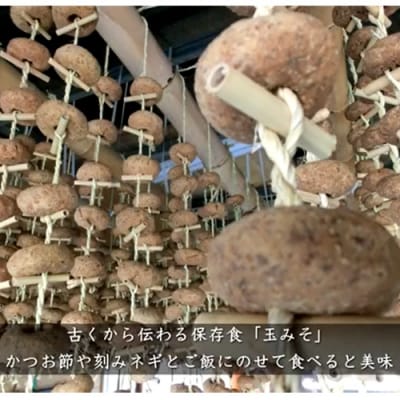 G10-20 「玉みそ」漬け込みキット700g郷土保存食!【1月～3月】に成型 順次配送