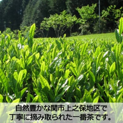 S35-02　一番茶　関市産「津保茶」と貝印製 お茶ミルのセット