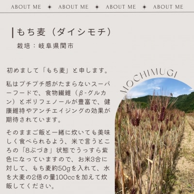 もち麦 【1.6kg】 そのままごはんと一緒にすぐ炊ける 8ぶづき G15-11  