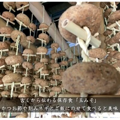 G20-09 「玉みそ」漬け込みキット1.4Kg、郷土保存食!【1月～3月】に成型 順次配送