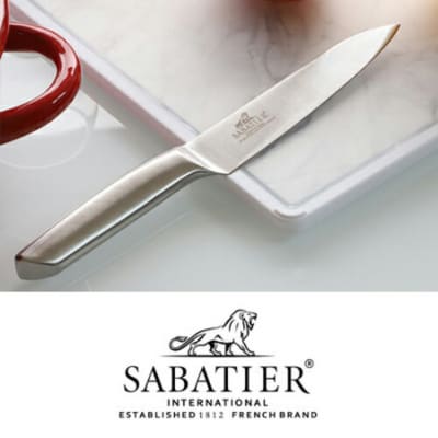 【サバティエ】ペティナイフ オールステンレス【フランスSABATIER社監修】
