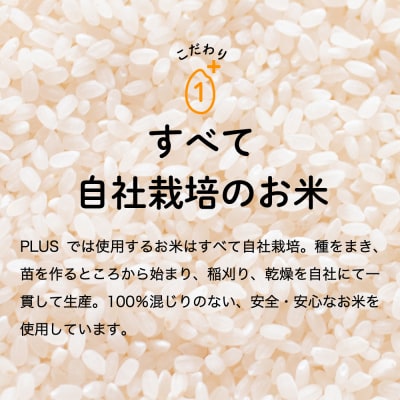 米粉500g　【岐阜県産ハツシモ米100%】SSS13 G3-13　