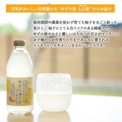 「ゆずの里上之保」ゆずじゅーす 10本セット