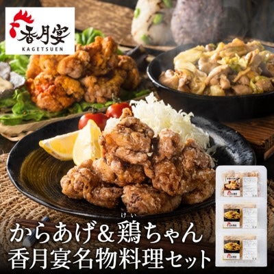 G10-18 メディア掲載多数!【調理済み・冷凍】香月宴の鶏ちゃん・からあげセット 計810g
