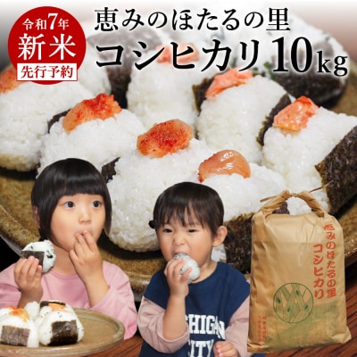 精米 10kg【令和7年産 コシヒカリ】ほたるの里八神集落