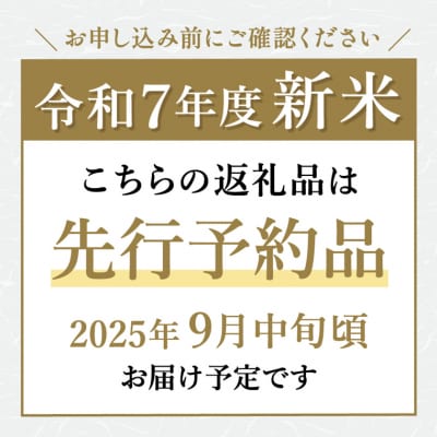 精米 10kg【令和7年産 コシヒカリ】ほたるの里八神集落