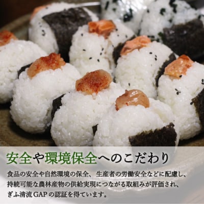 精米 10kg【令和7年産 コシヒカリ】ほたるの里八神集落